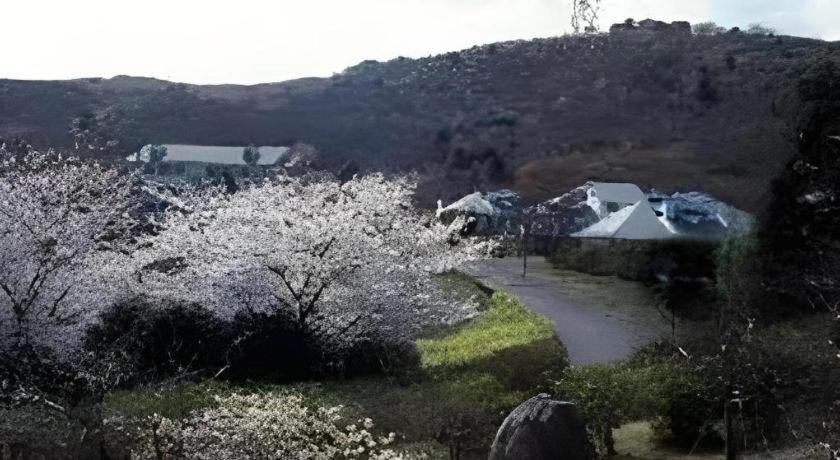 Izu Inatori Sports Villa Bagian luar foto
